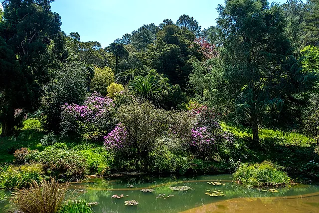 A pond fringed with flowering shrubs and lush trees in the Park of Monserrate