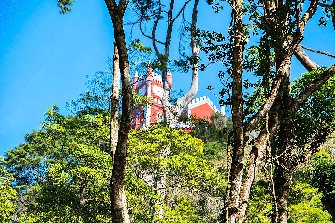 The red tower of Pena Palace rising above the trees of Pena Park