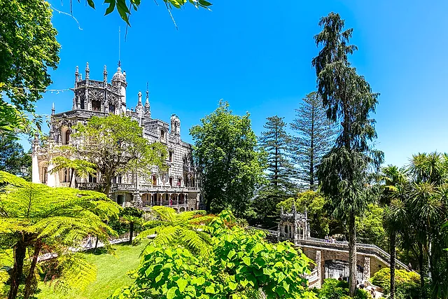 Regaleira Palace among tree ferns and tall trees in the gardens of Quinta da Regaleira